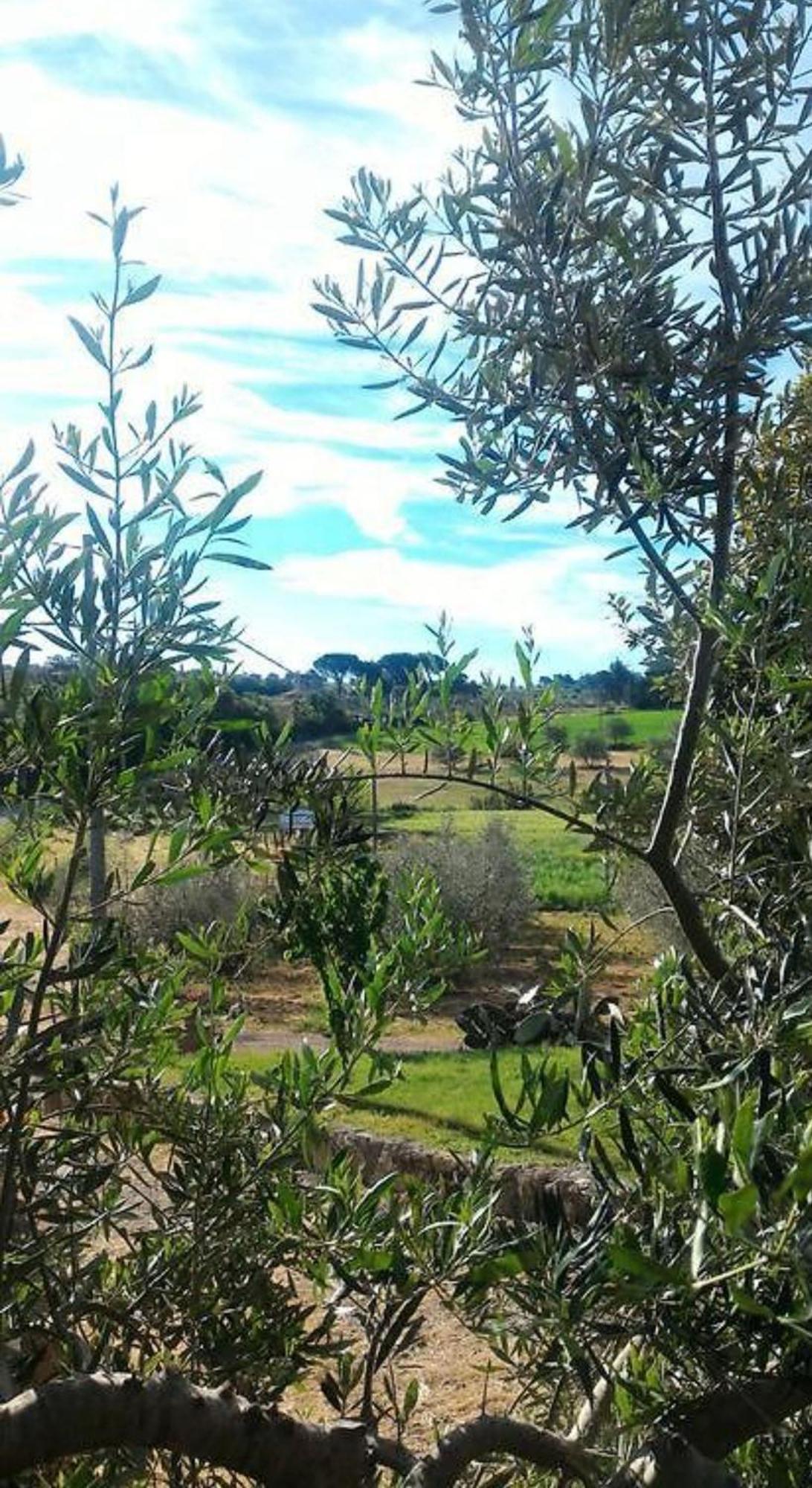 Villa La Mandriana Massa Marittima Exterior foto