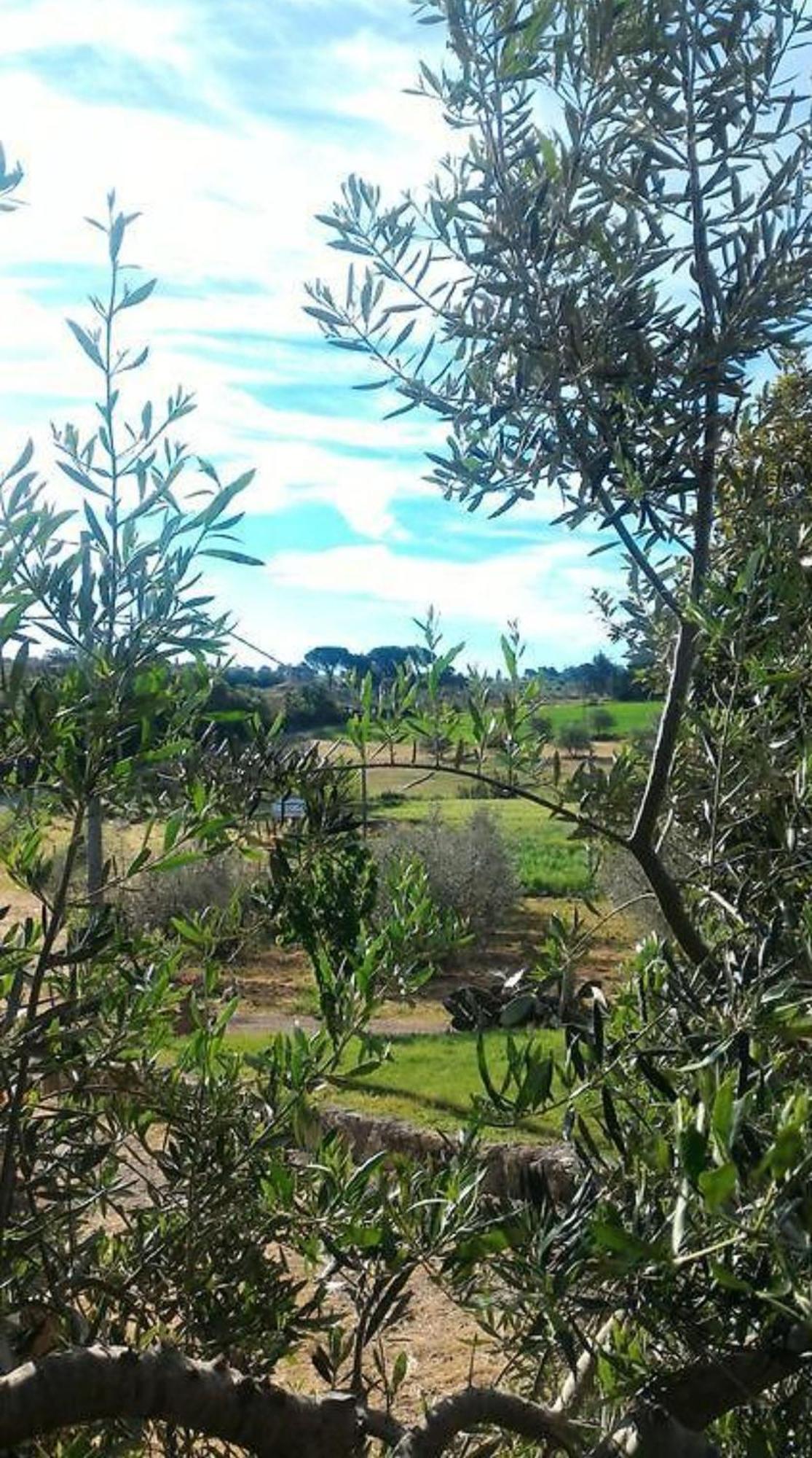 Villa La Mandriana Massa Marittima Exterior foto