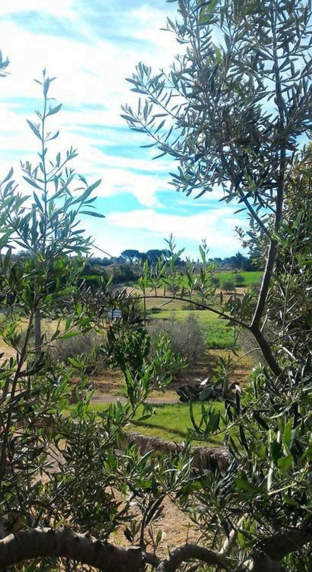 Villa La Mandriana Massa Marittima Exterior foto