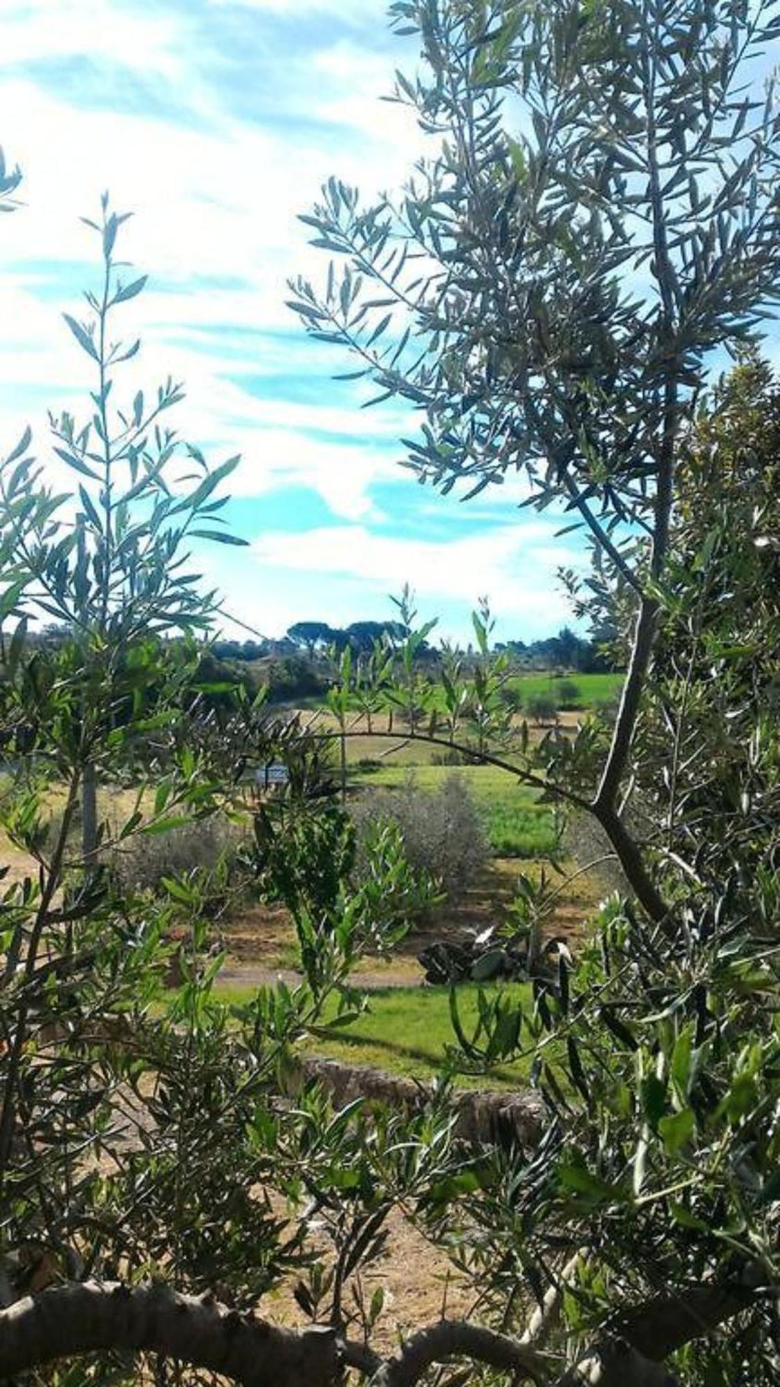 Villa La Mandriana Massa Marittima Exterior foto
